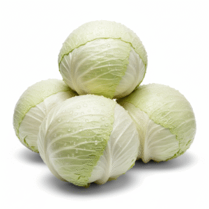 Cabbage - முட்டைக்கோசு