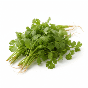 Coriander Leaf - கொத்தமல்லி