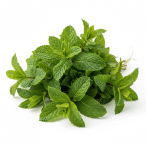 Mint Leaf - புதினா